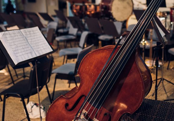 Ein Cello im Orchester